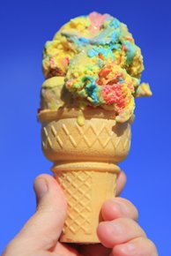 Soft Ice Cream Business